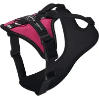 JULIUS K-9 Longwalk Light Hundsele