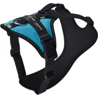 JULIUS K-9 Longwalk Light Hundsele