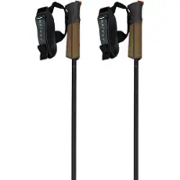 Fischer Gt 11 Carbon Mag Stavar