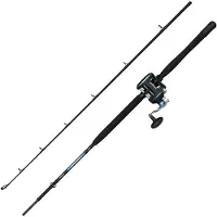 Penn Warfare Ii Boat Lwlh Jigging-kombo