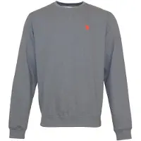 U.S. POLO ASSN. Tröja grå / röd