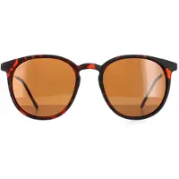 Montana Round Unisex Havana Rubbertouch Brown Polarized MP33 Solglasögon