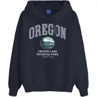Jack & Jones Sweatshirt 'JORBradley US-State' marinblå / smaragd / lavendel / vit