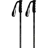 Elan Speedrod Stavar