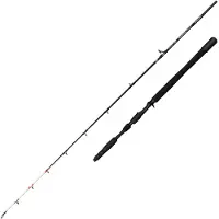 Penn Marine Brigade Dentex Jigging-spö