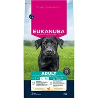 Eukanuba Adult Large hundfoder med kyckling