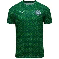 Puma Manchester City Tränings T-Shirt Pre Match - Grön terräng - , storlek X-Small