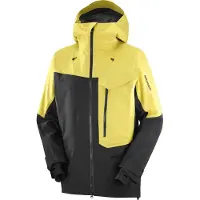 Salomon - Skidjackor - Moon Patrol GTX Jkt M Cress Green/Deep Black för Unisex - Storlek M - Gul