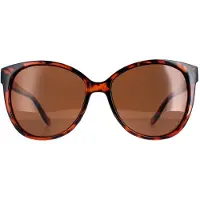 Montanaeyewear Cat Eye Dam Shiny Tortoise Brown Polarized MP74B