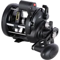 Penn Rival Ii Level Wind Lc Lh 30l Jiggingrulle