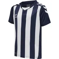 Hummel Matchtröja Core Striped - Navy/Vit Barn, storlek 176 cm