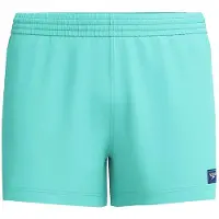 Speedo Solid Retro Volley 13 Simshorts