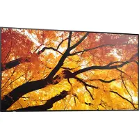 Sharp MultiSync PN-M752, 189,2 cm (74.5), LED, 3840 x 2160 pixlar, 24/7