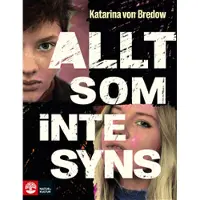 Allt som inte syns