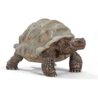 Schleich Djur - L:9 cm - Jättesköldpadda 14824 - - One Size - Leksaksdjur