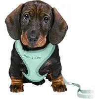 Trixie Junior valpsele med koppel 26-34 cm/10 mm, 2 m, nylackad