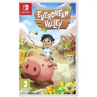 Games Switch Everdream Valley