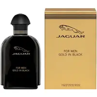 Jaguar Classic For Men Gold In Black Eau de Toilette 100ml Spray