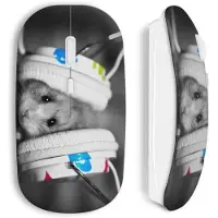 CAPACHEAP Souris sans Fil Hamster music