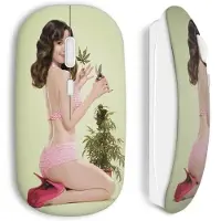 CAPACHEAP Souris sans Fil Weeds