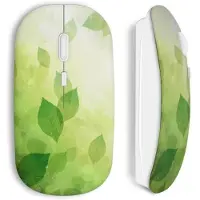 CAPACHEAP Souris sans fil Nature