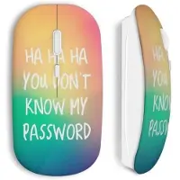 CAPACHEAP Souris sans Fil You don't know my password