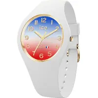 Ice Watch 23251 37mm 5atm Quartz Analogical Damklocka