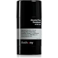 Anthony - Deodorant - Alcohol Free