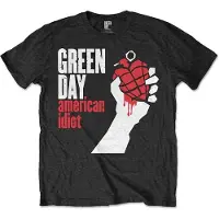 Ginza.se Green Day: Kids T-Shirt/American Idiot (Black) (3-4 Years)