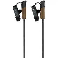 Fischer Gt 13 Comp Mag Stavar