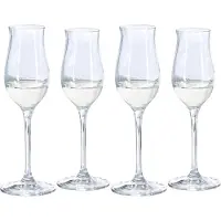 Spiegelau Digestive 4-pack - Whiskeyglas & Cognacglas Glas Klar