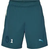 Puma Manchester City X EAFC26 Fjärdeshorts 2025/26 - , storlek Small