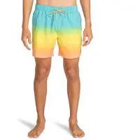 Billabong All Day Fade Simshorts