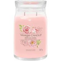 Yankee candle Nyskurna rosor Signature ljus - 567g
