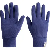 Odlo Active Warm Eco Handskar