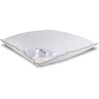 Borg Living Myskdun huvudkudde - Hög - 50x60 cm - 3-kammarskudde -
