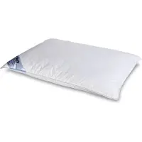 Zen Sleep Gåsduns huvudkudde "Låg" - 50x70 cm - 3-kammarskudde -