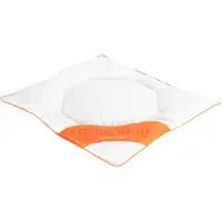 Feng Shui Ekologisk huvudkudde - Babykudde - Gåsdunkudde - Barnkudde 40x45 cm - Svanenmärkt -