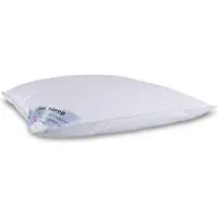 Zen Sleep Myskdun dunkudde - Mellan 3-kammars huvudkudde - 50x60 cm -