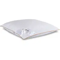 Borg Living Myskdun huvudkudde - Mellan - 3-kammars huvudkudde - 60x63 cm -
