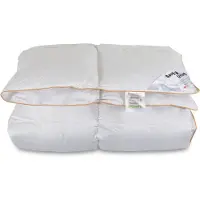 Borg Living Gåsdunstäcke - Vintertäcke i 100 % dun - 200x220 cm -