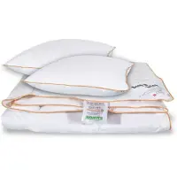 Borg Living Täcke- och kuddeset - Myskdun sommartäcke - Sommartäcke 240x220 cm + 2 kuddar 60x63 cm -