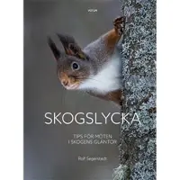 Skogslycka - Tips För Möten I Skogens Gläntor