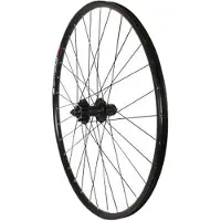 Massi Black Gold 3 Afs 29´´ Disc Mtb Bakhjul