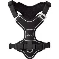Hunter Pet Divo Up Hundsele