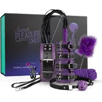 Secret Pleasure Chest - avancerat BDSM-kit (14-delars)
