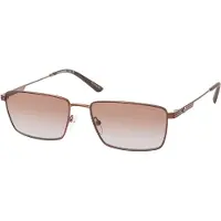 Emporio Armani 0EA2169 Solglasögon -