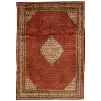 Rezas orientalisk x Mir Boteh matta 281 x 414 cm