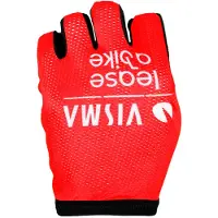 Tvl Replica Team Visma Lease A Bike La Vuelta 2025 Victory Handskar