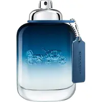 Coach Blue Eau De Toilette 100ml